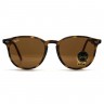 Очки Ray Ban RB4259 Коричневые солнцезащитные унисекс женские мужские оригинал