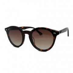 Очки Ray Ban Blaze Panthos RB4380-N