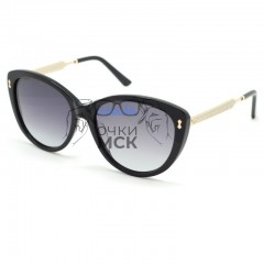 Очки Gucci GG 3839/F/S